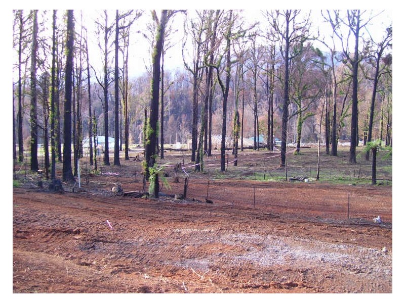 24 Martin Road, Marysville VIC 3779