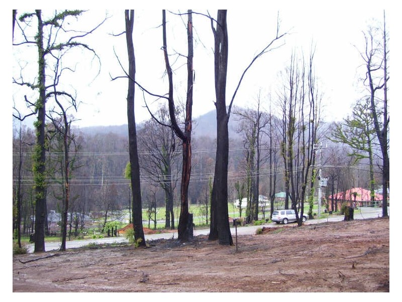 23 Allison Crescent, Marysville VIC 3779