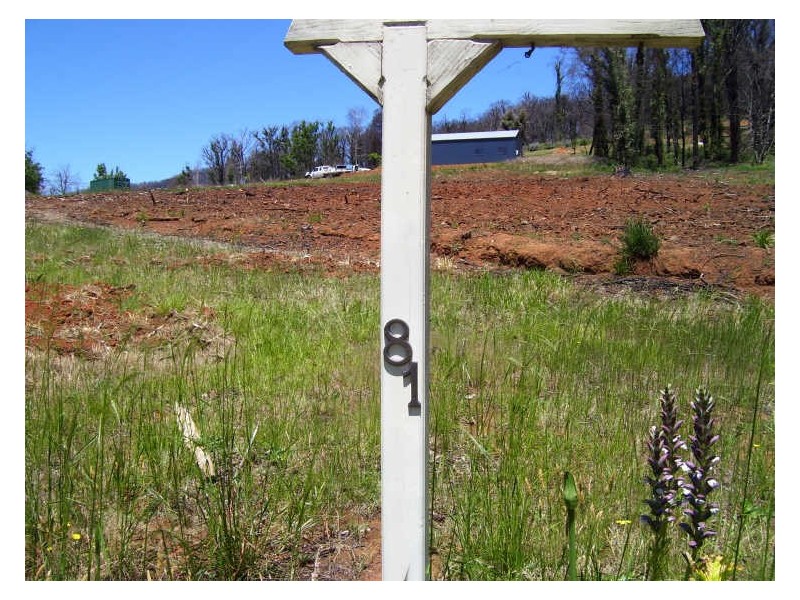 81 Murchison Street, Marysville VIC 3779