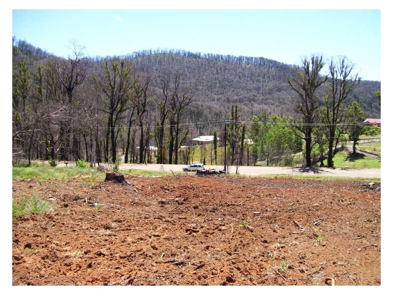 81 Murchison Street, Marysville VIC 3779