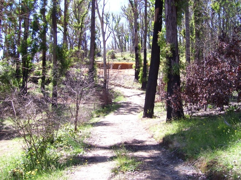 19 Redhill Road, Marysville VIC 3779