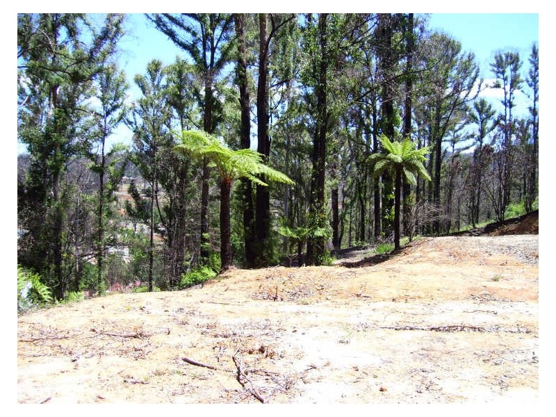 19 Redhill Road, Marysville VIC 3779