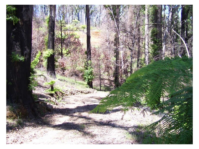 19 Redhill Road, Marysville VIC 3779