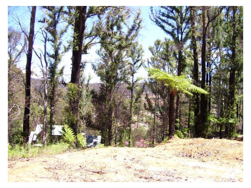 19 Redhill Road, Marysville VIC 3779