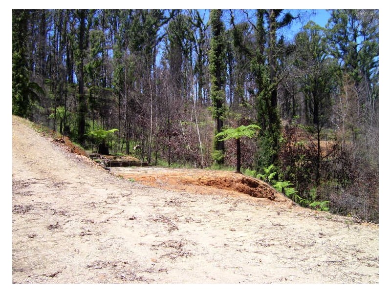 19 Redhill Road, Marysville VIC 3779