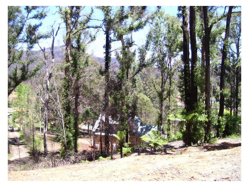 19 Redhill Road, Marysville VIC 3779