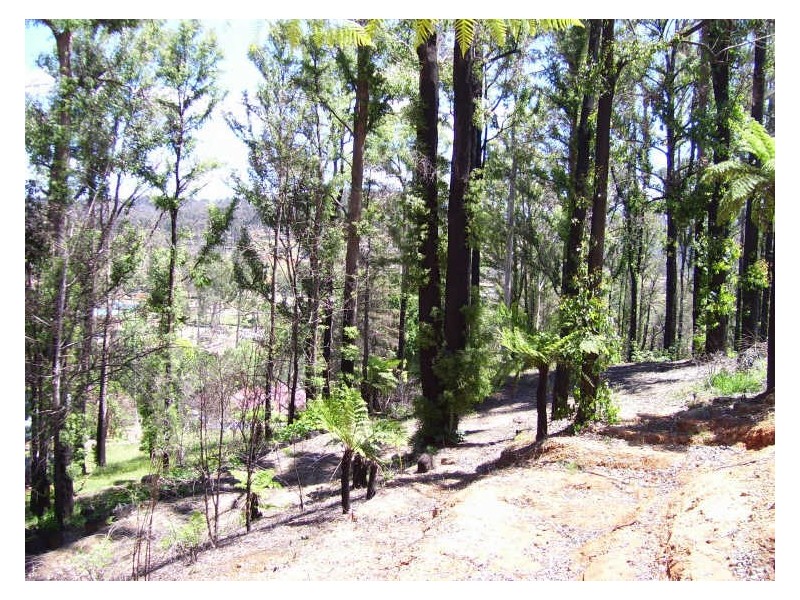 19 Redhill Road, Marysville VIC 3779