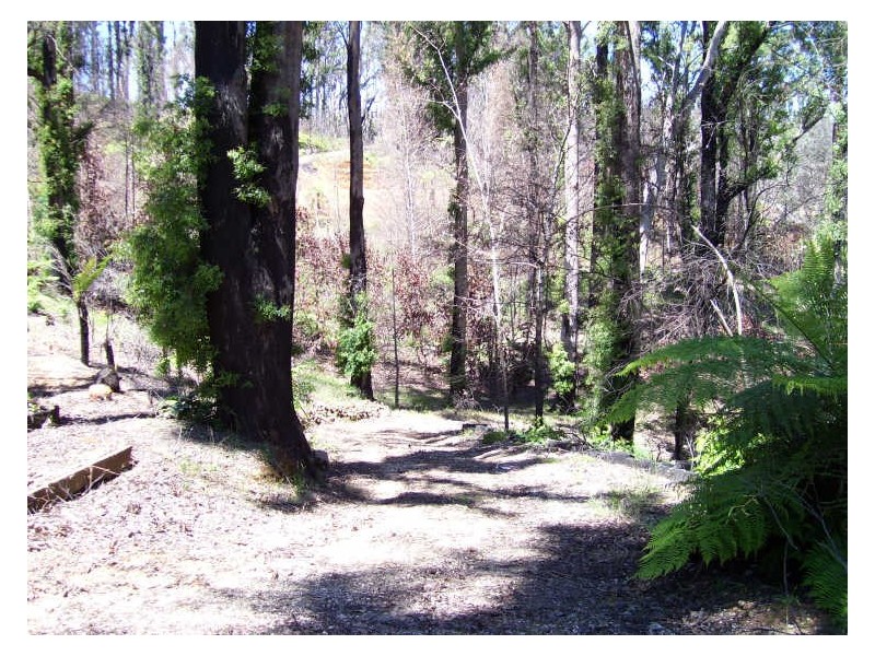 19 Redhill Road, Marysville VIC 3779