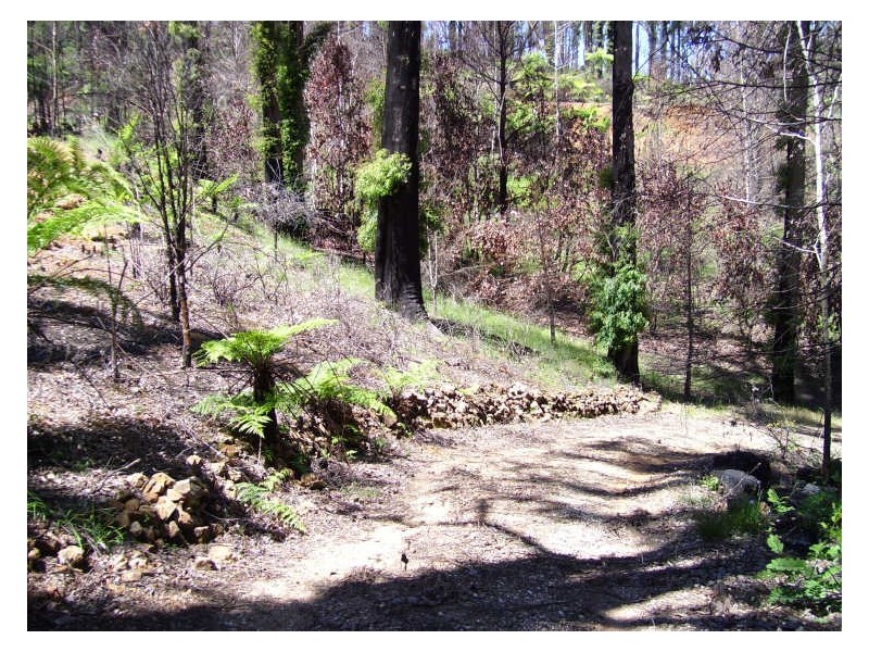 19 Redhill Road, Marysville VIC 3779