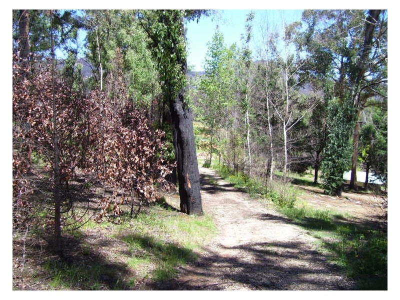 19 Redhill Road, Marysville VIC 3779