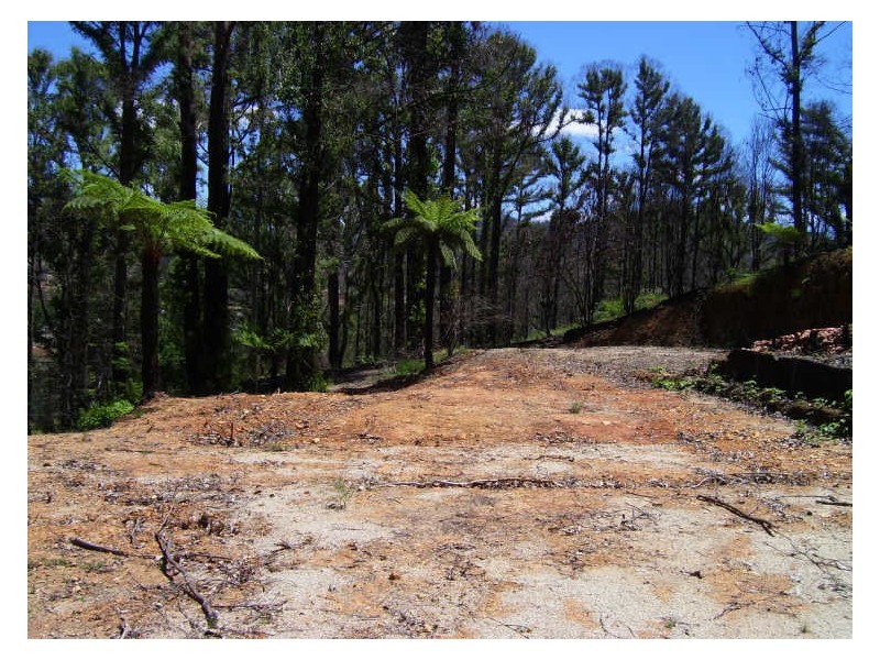 19 Redhill Road, Marysville VIC 3779