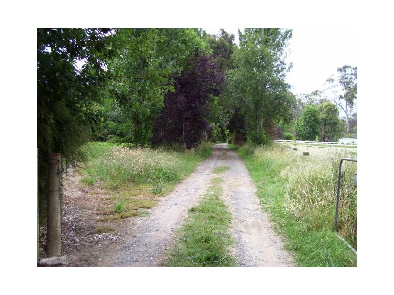 10 Cerberus Lane, Buxton VIC 3711