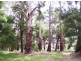10 Cerberus Lane, Buxton VIC 3711