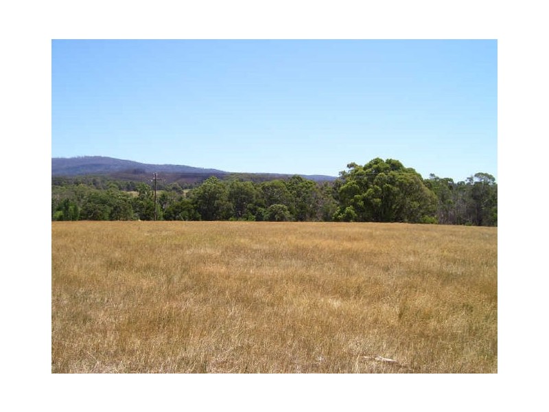 10 Cerberus Lane, Buxton VIC 3711