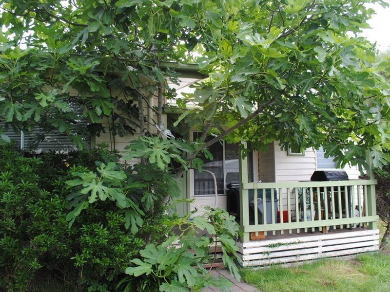 45 Coster Street, Alexandra VIC 3714