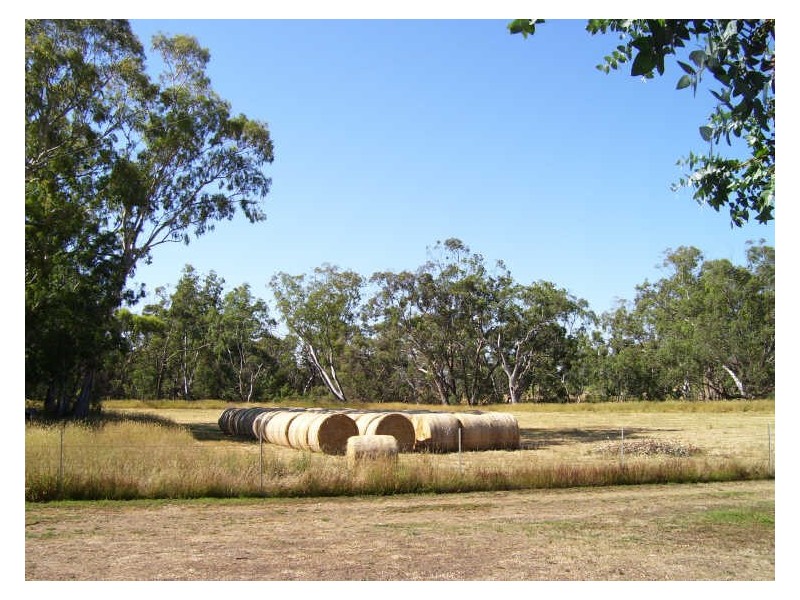 905 Gobur Road, Yarck VIC 3719