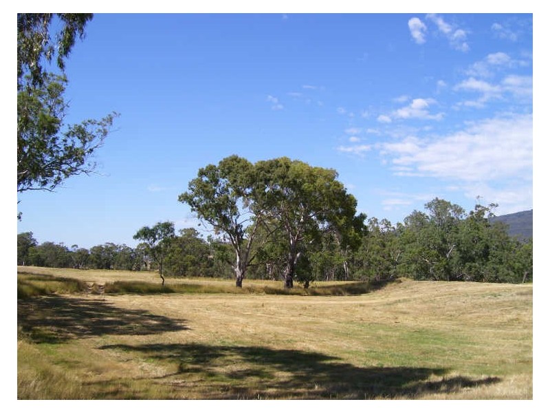 905 Gobur Road, Yarck VIC 3719