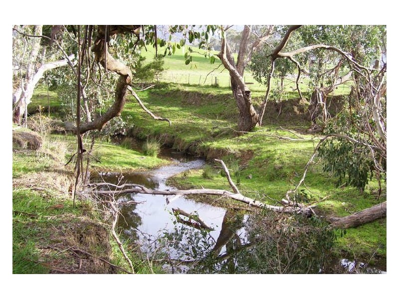 905 Gobur Road, Yarck VIC 3719