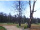 114 Falls Road, Marysville VIC 3779