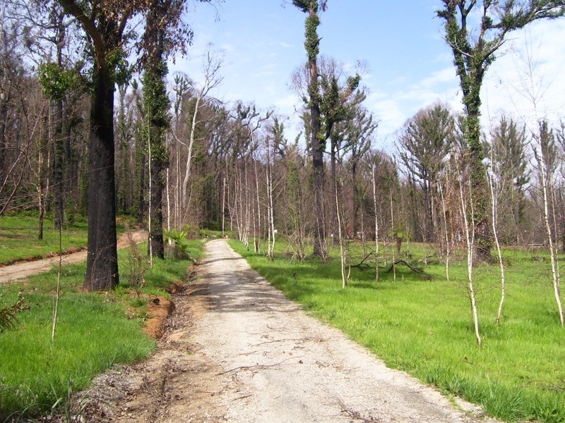 129A Falls Road, Marysville VIC 3779