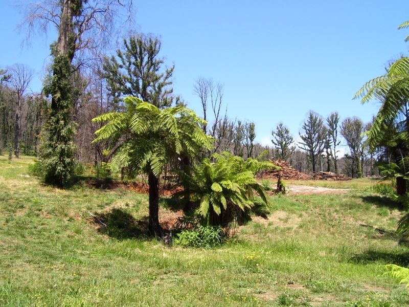 129A Falls Road, Marysville VIC 3779