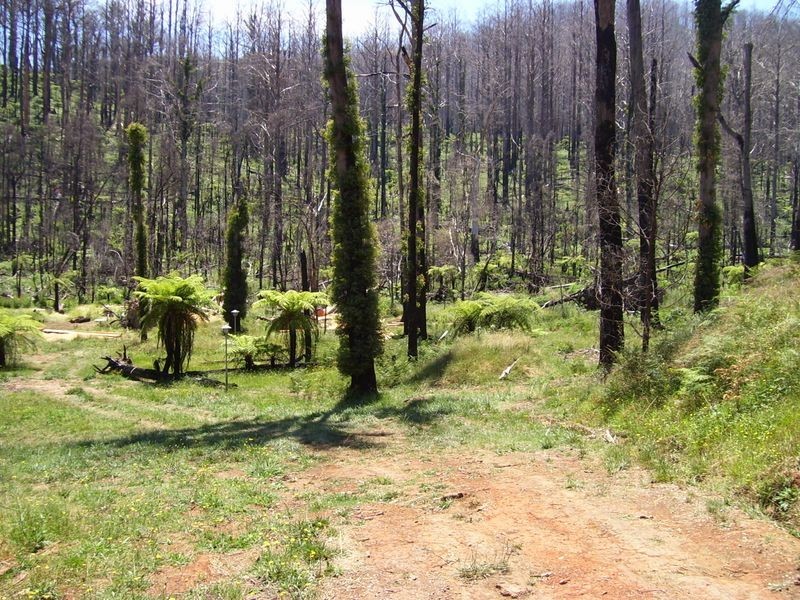 129A Falls Road, Marysville VIC 3779