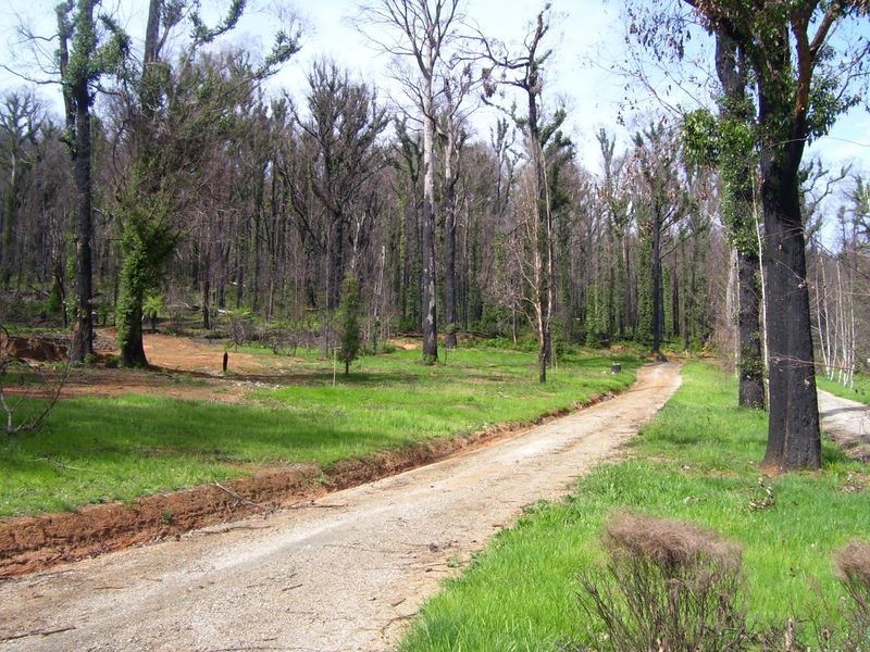 129A Falls Road, Marysville VIC 3779