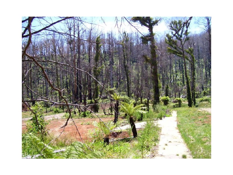 129A Falls Road, Marysville VIC 3779