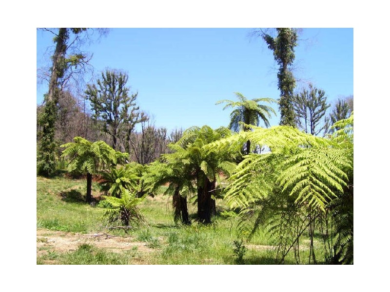 129A Falls Road, Marysville VIC 3779