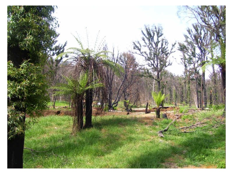 129 Falls Road, Marysville VIC 3779