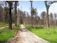 129 Falls Road, Marysville VIC 3779