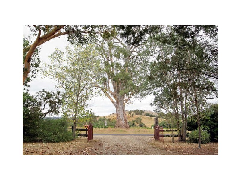 2 McColl Lane, Acheron VIC 3714