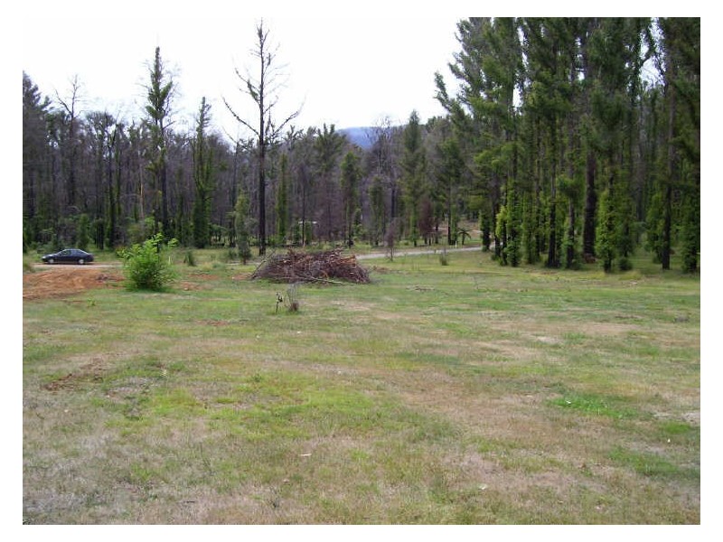 10 Lady Talbot Drive, Marysville VIC 3779