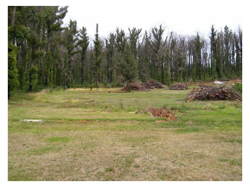 10 Lady Talbot Drive, Marysville VIC 3779