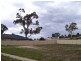 112 Cooper Street, Alexandra VIC 3714