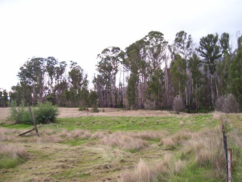31 Peppermint Drive, Buxton VIC 3711