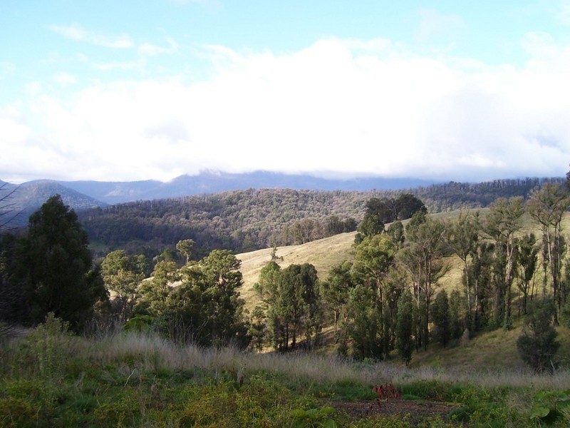 1584 Maroondah Highway, Buxton VIC 3711