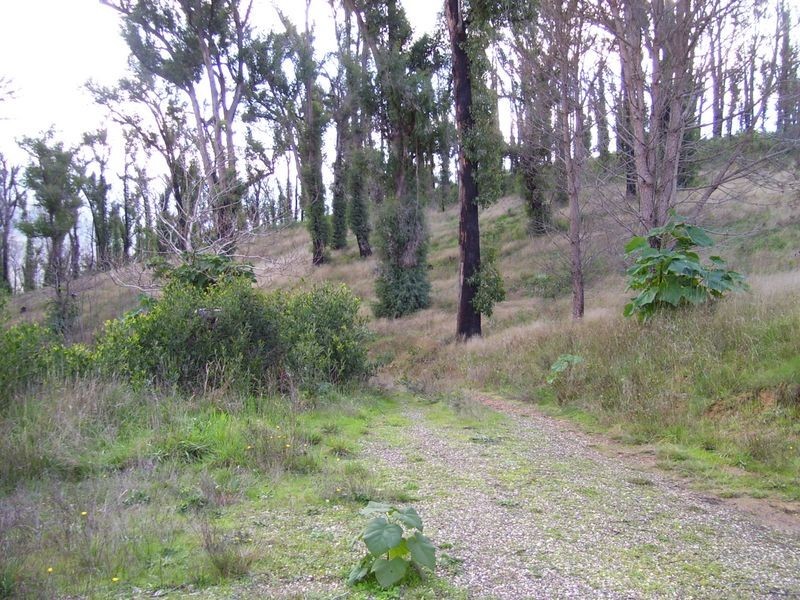 1584 Maroondah Highway, Buxton VIC 3711