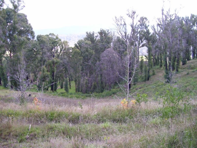 1584 Maroondah Highway, Buxton VIC 3711