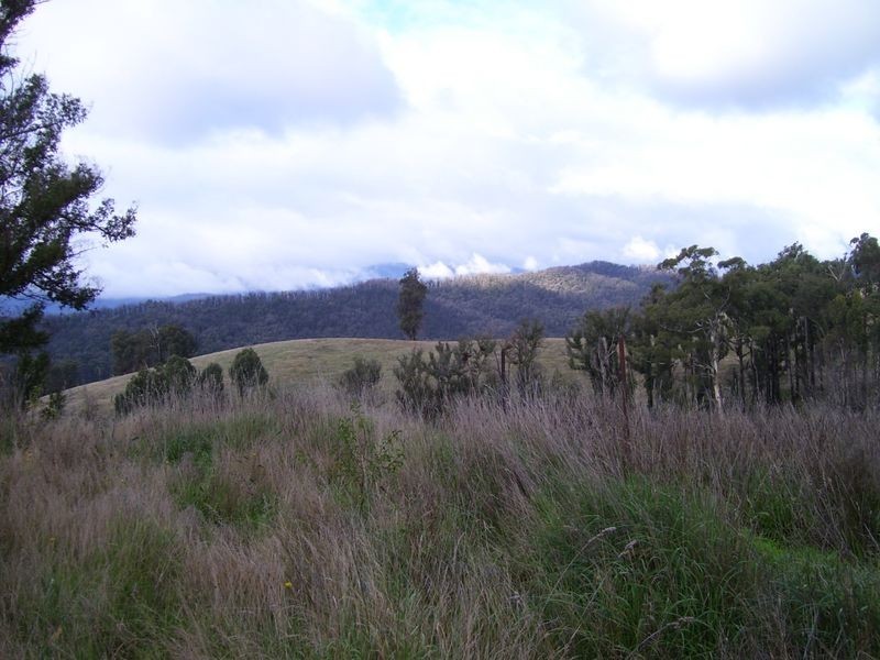 1584 Maroondah Highway, Buxton VIC 3711