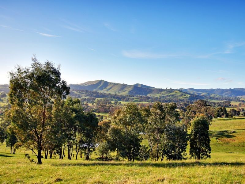 71 Swann Road, Alexandra VIC 3714