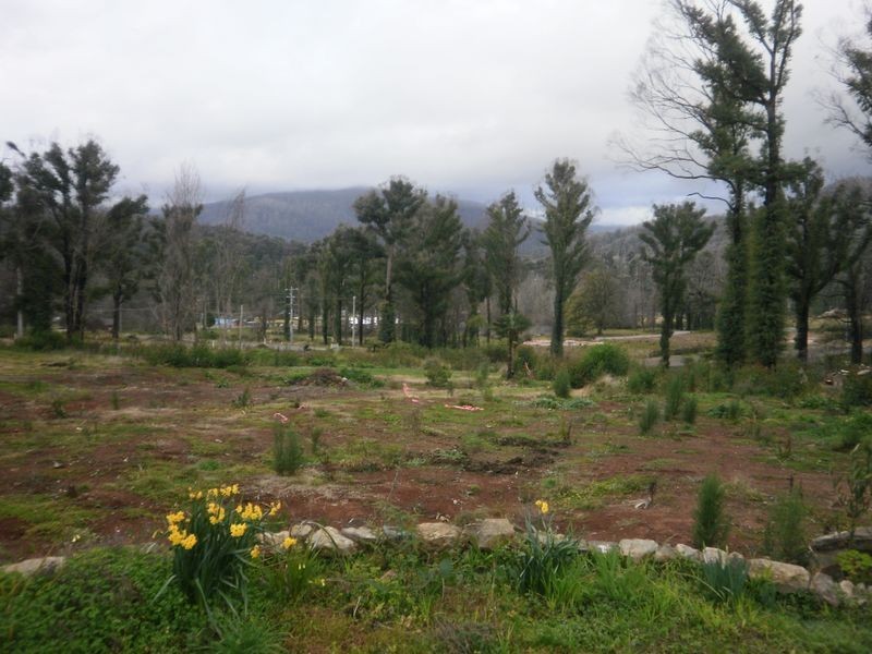 14 Kings Road, Marysville VIC 3779