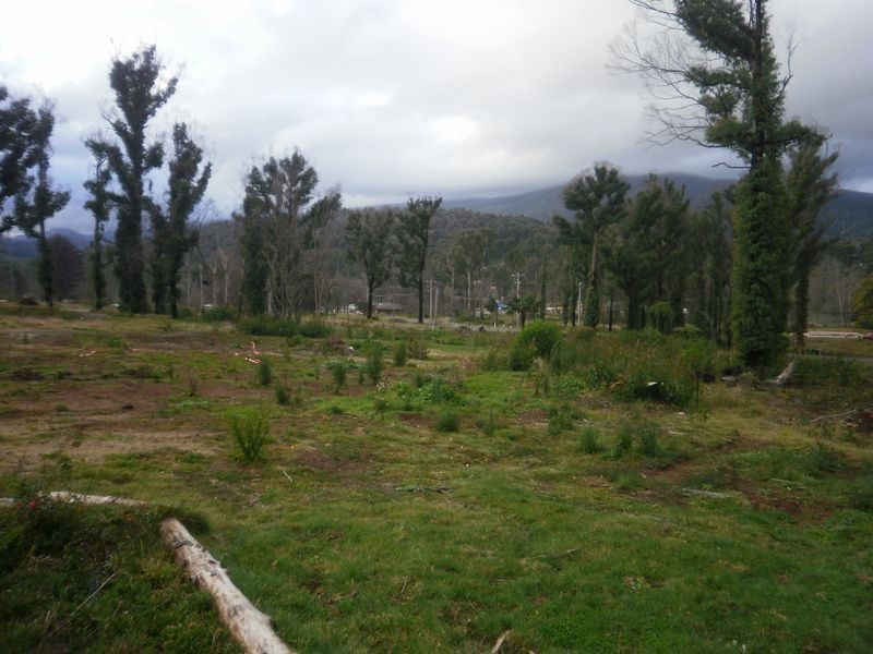 14 Kings Road, Marysville VIC 3779