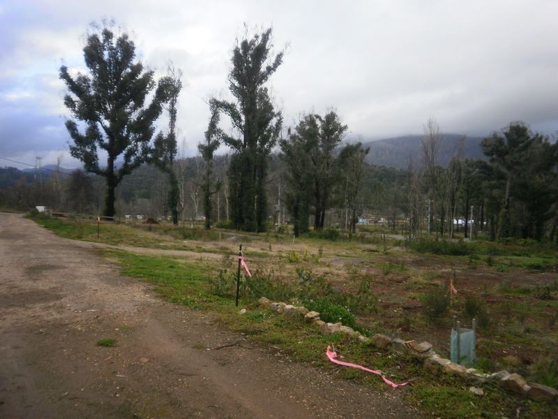 14 Kings Road, Marysville VIC 3779