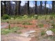 16 Kings Road, Marysville VIC 3779