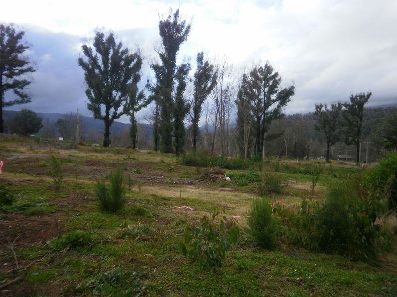 16 Kings Road, Marysville VIC 3779