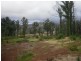 16 Kings Road, Marysville VIC 3779