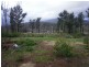 16 Kings Road, Marysville VIC 3779
