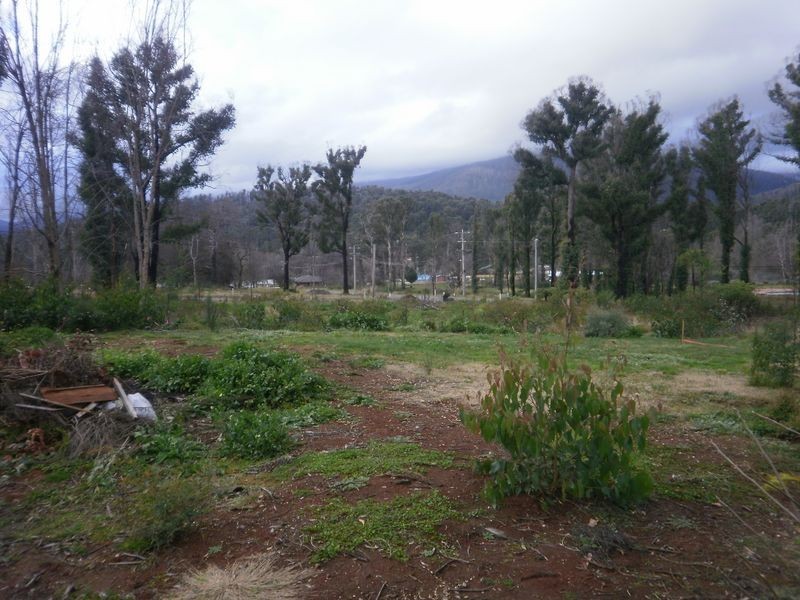 16 Kings Road, Marysville VIC 3779