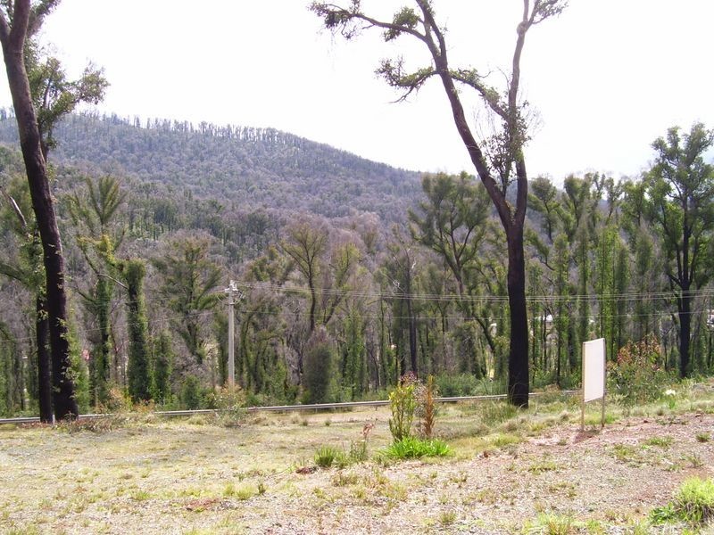 97A Murchison Street, Marysville VIC 3779